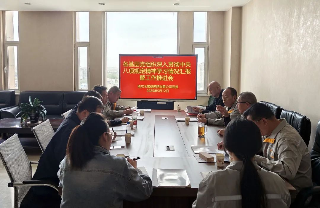 伟德国际1949官网钾肥党委召开各基层党组织深刻贯彻中央八项划放心灵学习情况汇报暨工作推动会